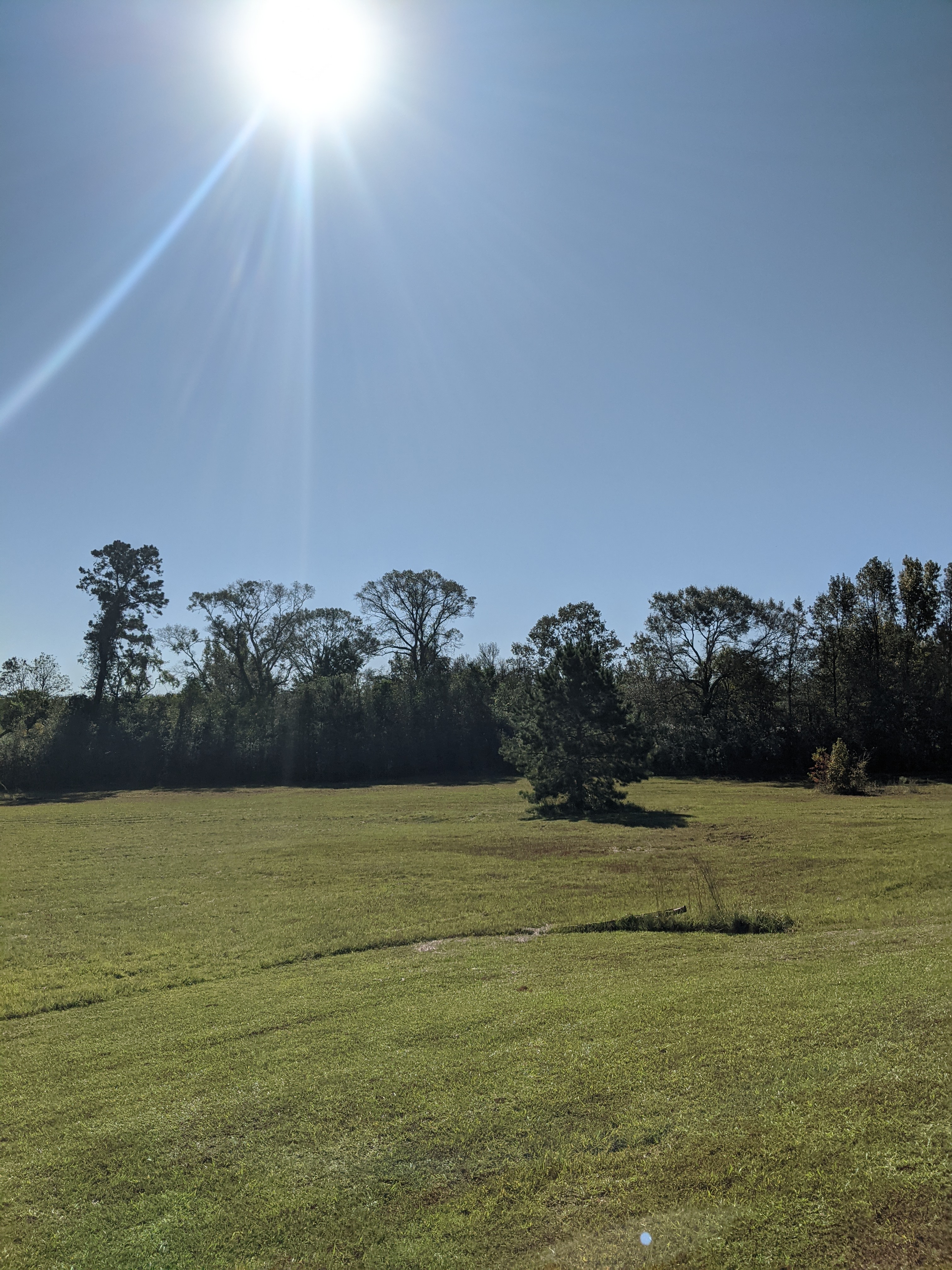 4.54 Acres Vacant Land,  Mixed Use, Residential and/or Commercial